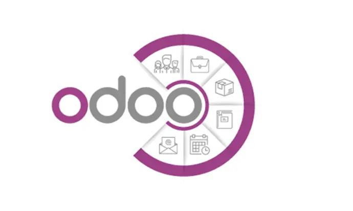 Odoo Dedicated developer
